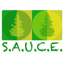 logo sauce